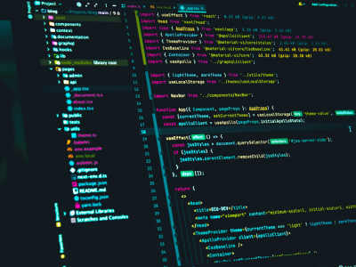 Software Development